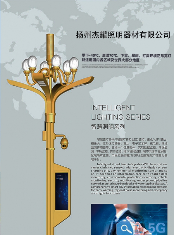 武漢批發大型led玉蘭燈 戶外廣場市政工程道路景觀燈 八叉九火玉 蘭燈